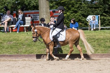 Bild 582 - Pony Akademie Turnier